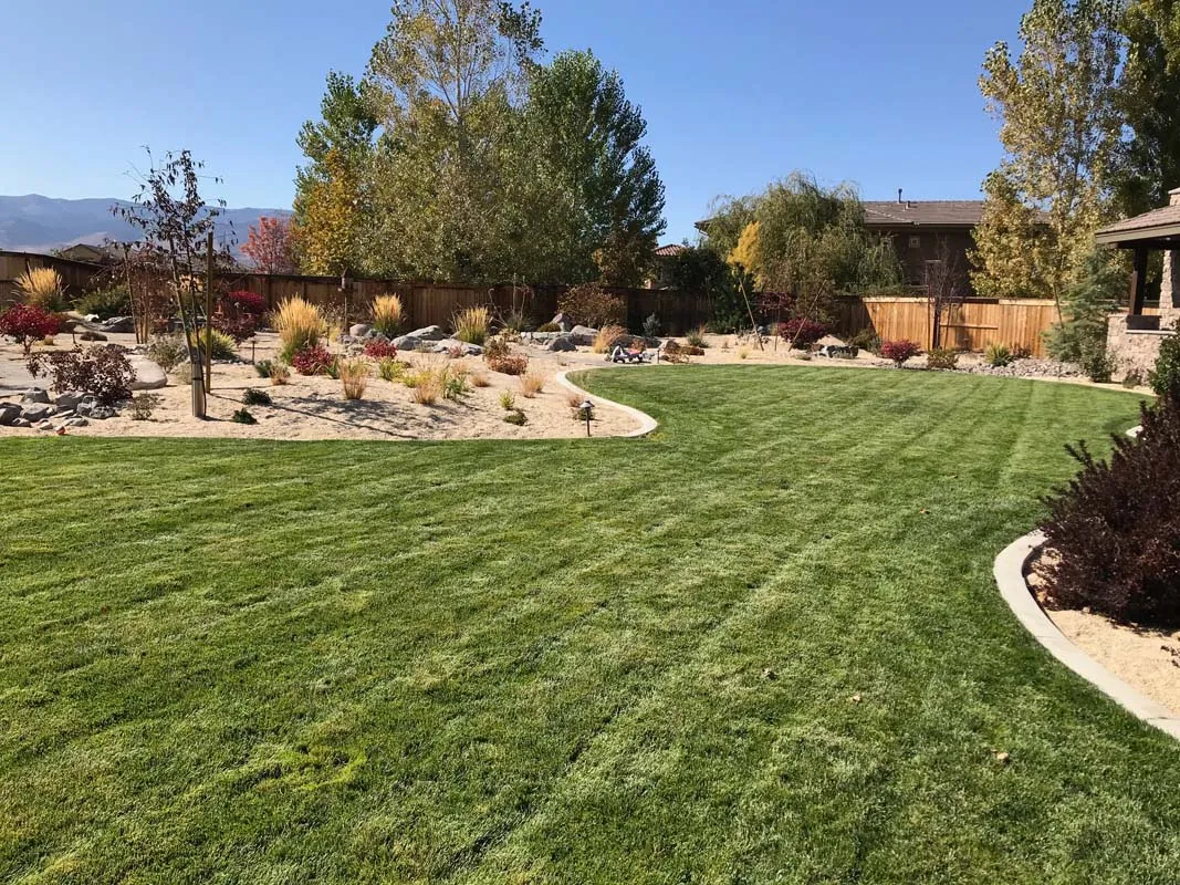 Freshly Mowed Grass