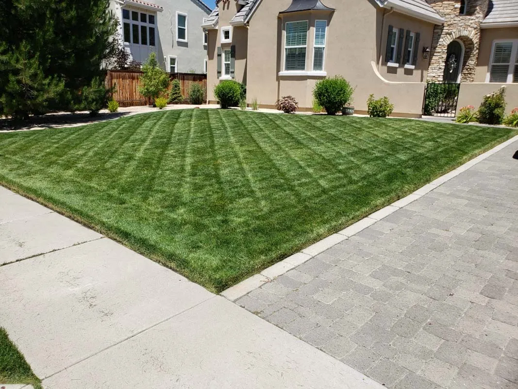Tailored Lawn Care Logo