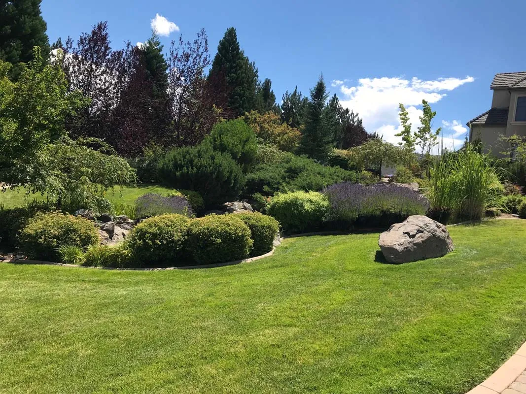 Nicely Manicured Shrubs and Bushes